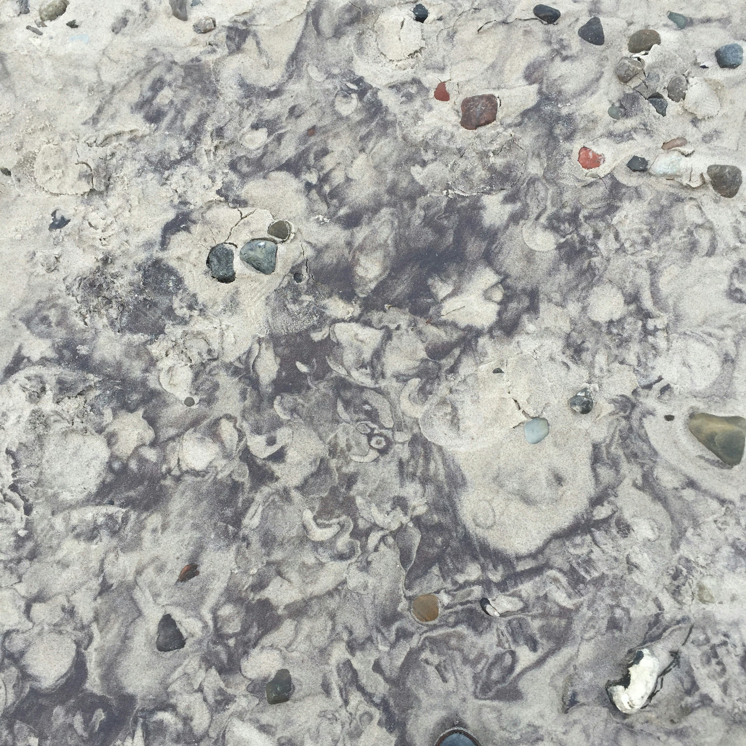 Free Unsplash photo from Gerit Lippert