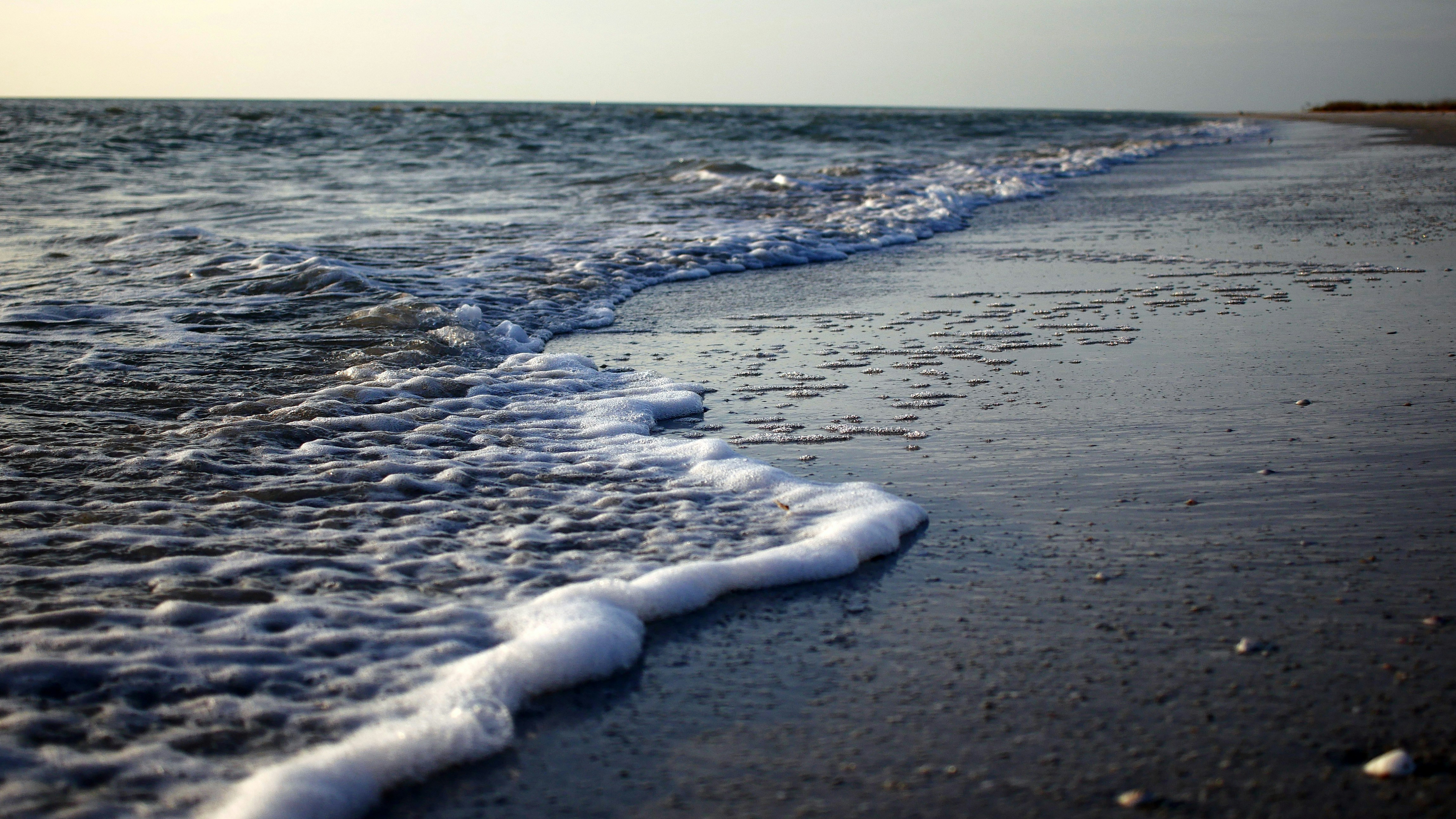 Free Unsplash photo from Lauren Bailey