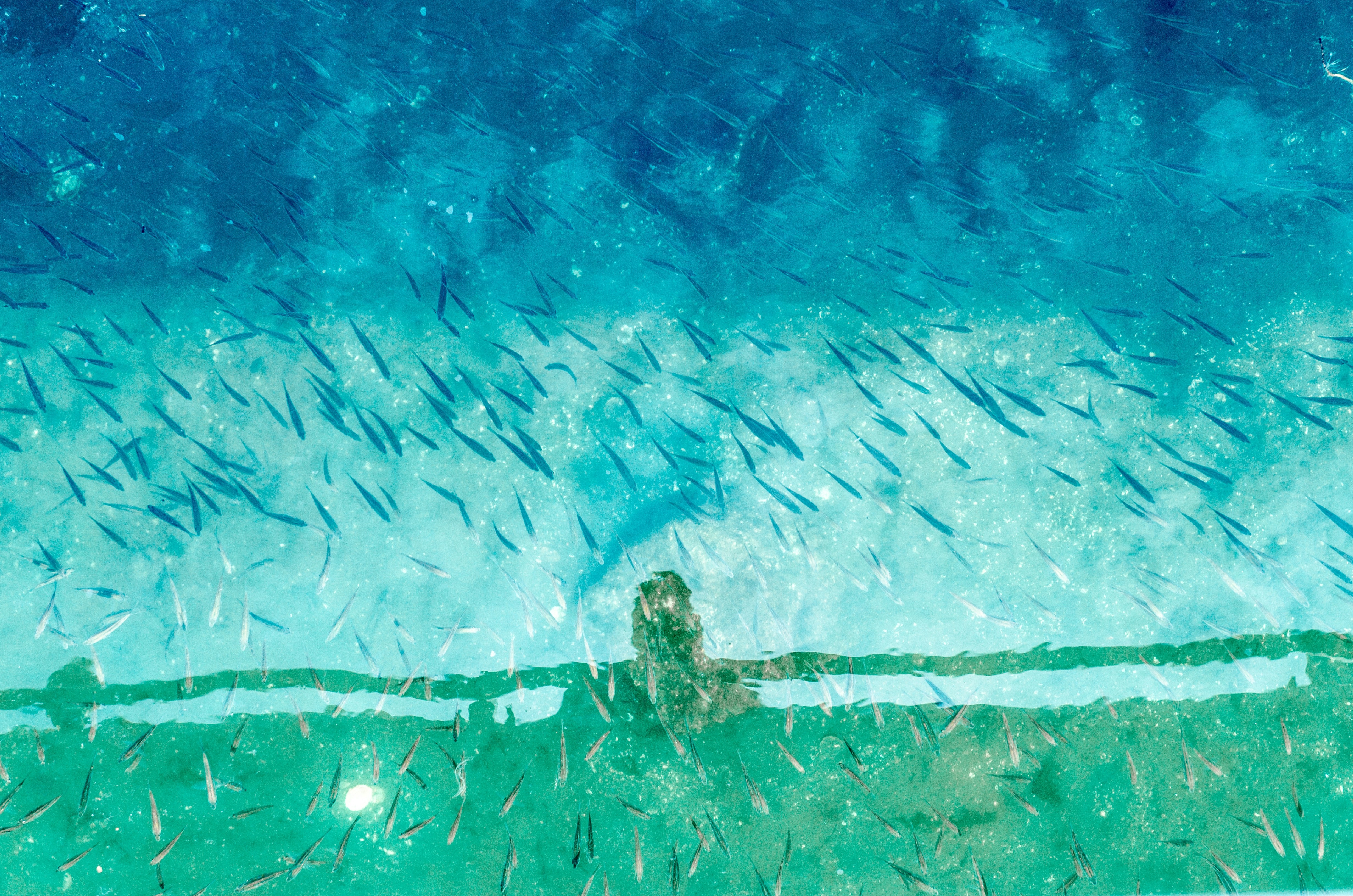 Photo By jesse orrico