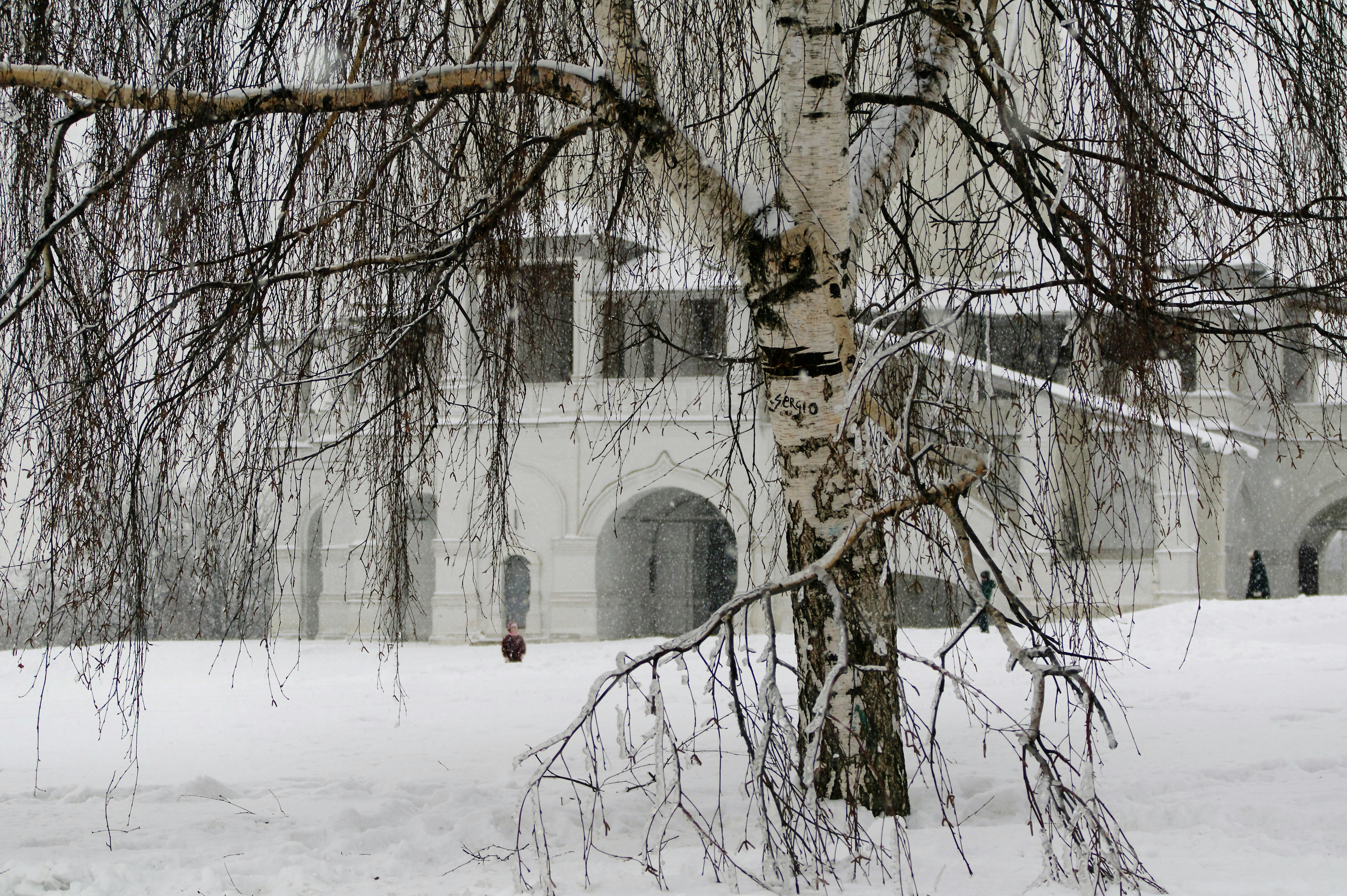 Free Unsplash photo from Vladimir Kuzin