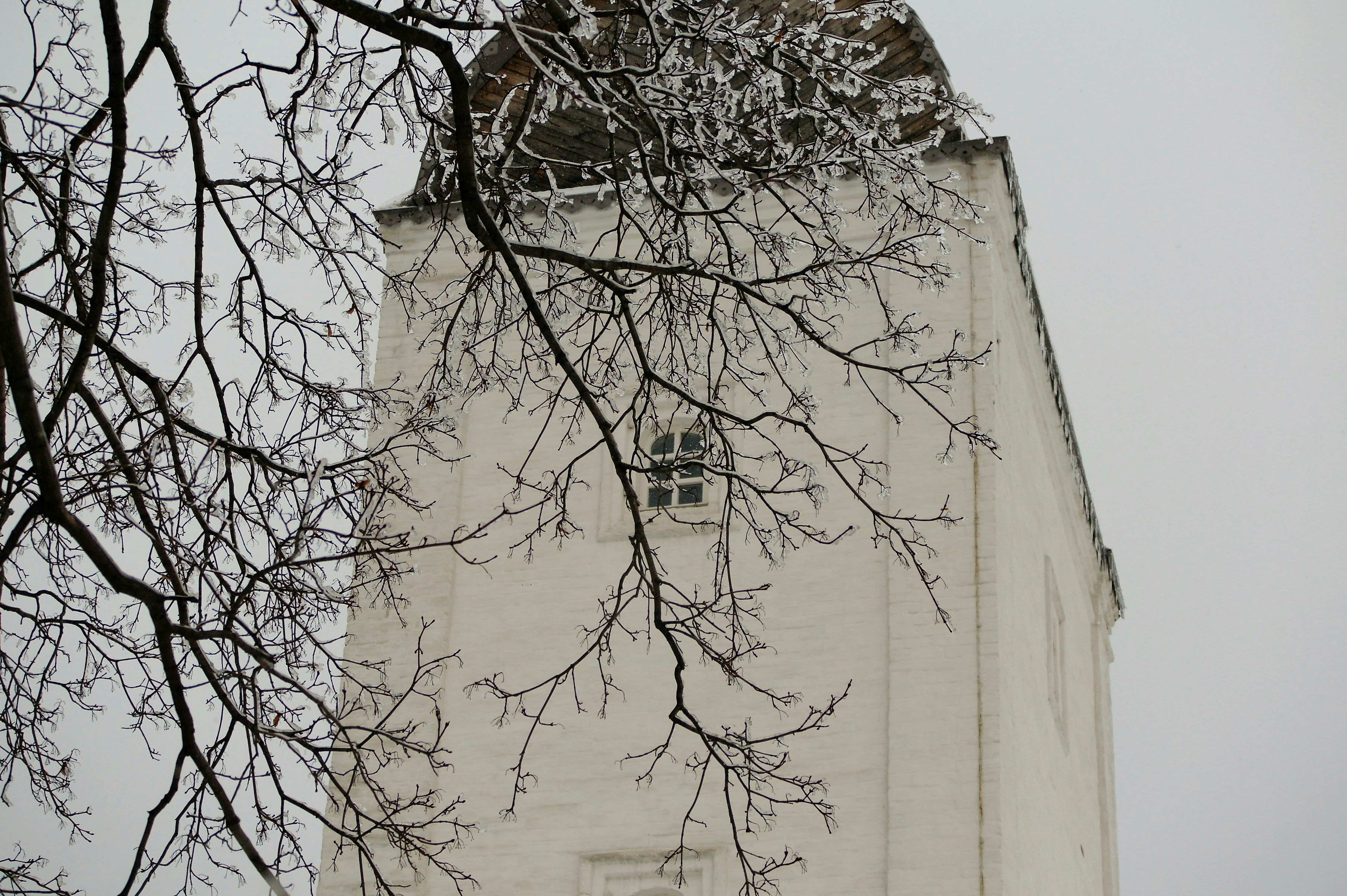 Free Unsplash photo from Vladimir Kuzin