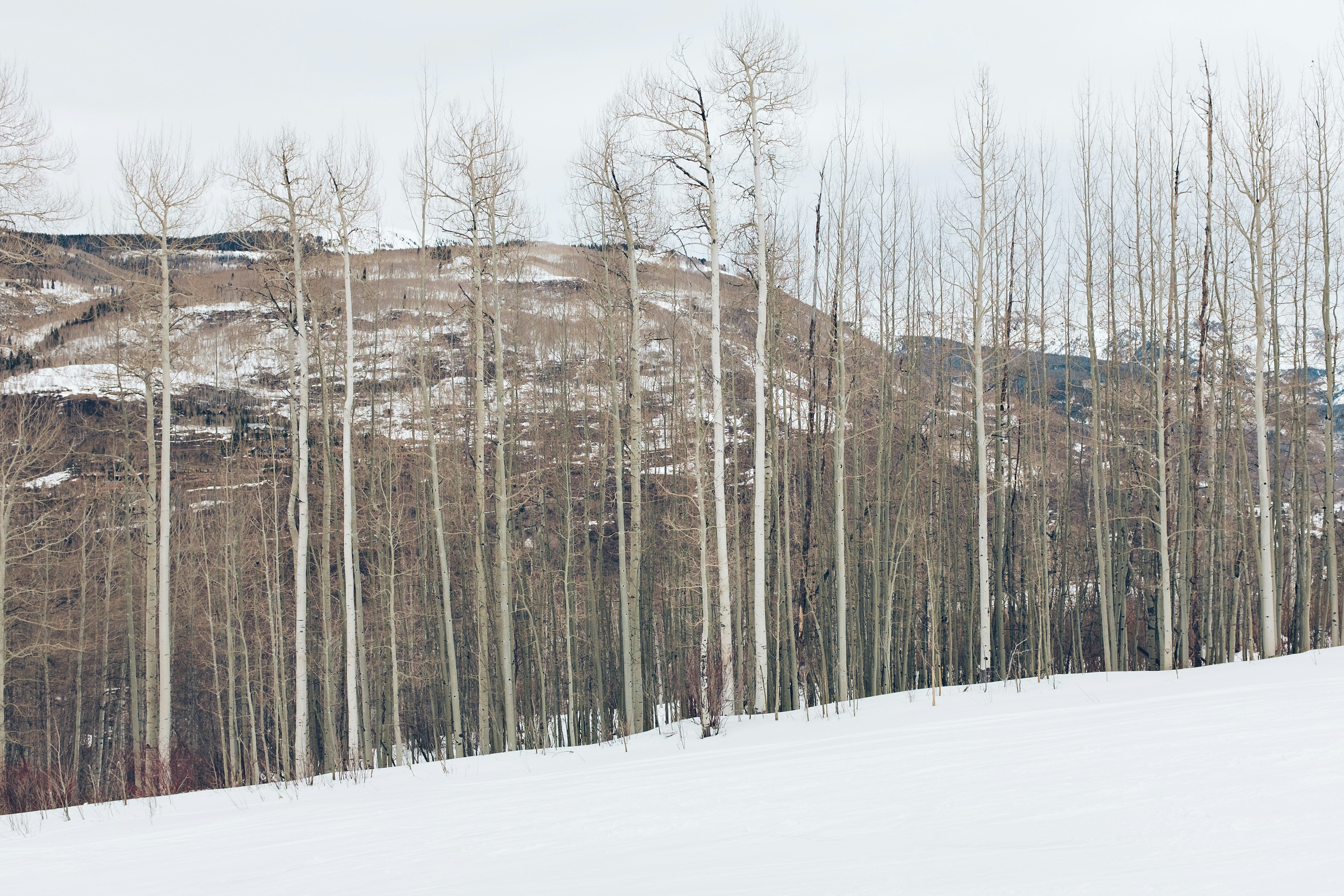 Photo By Charlie Deets