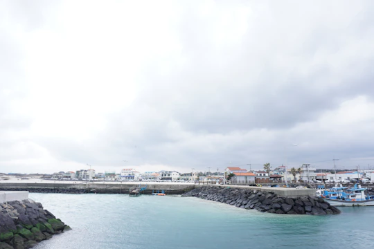 A coastal area features a harbor with calm turquoise water and a rocky breakwater. Several buildings with white and red roofs line the waterfront, under overcast skies. Fishing boats are moored near the marina, and a gently sloping shoreline extends into the distance.