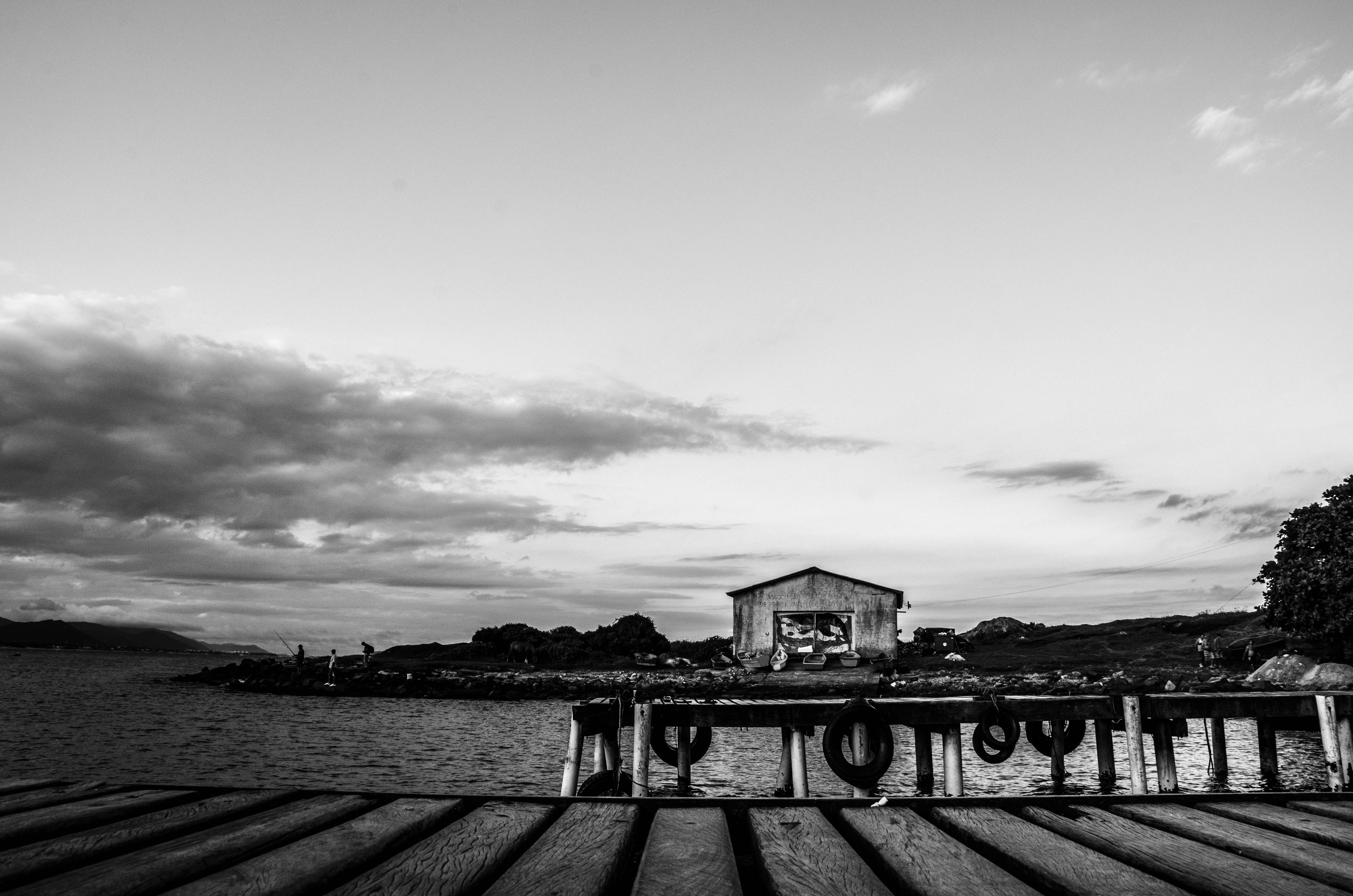 Free Unsplash photo from Camila Boff