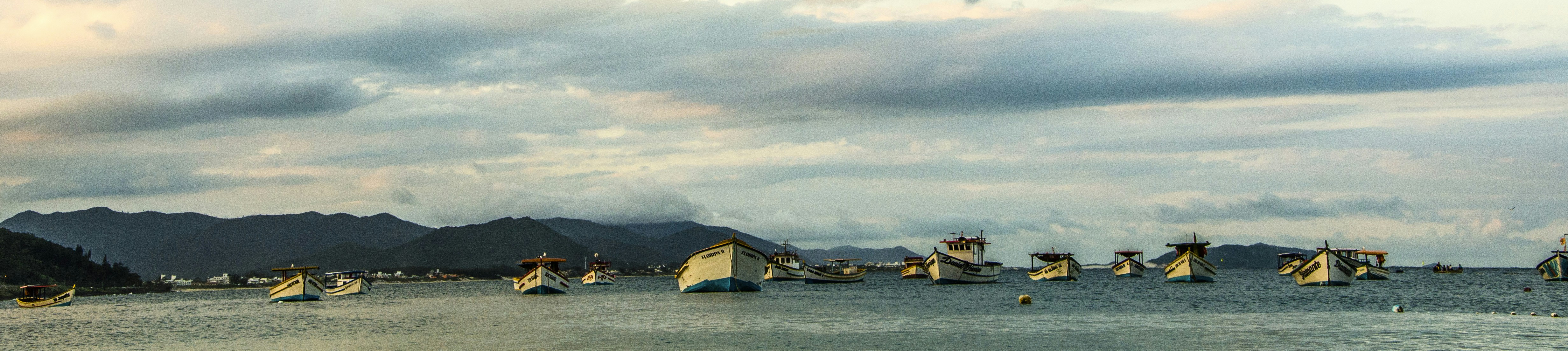 Free Unsplash photo from Camila Boff