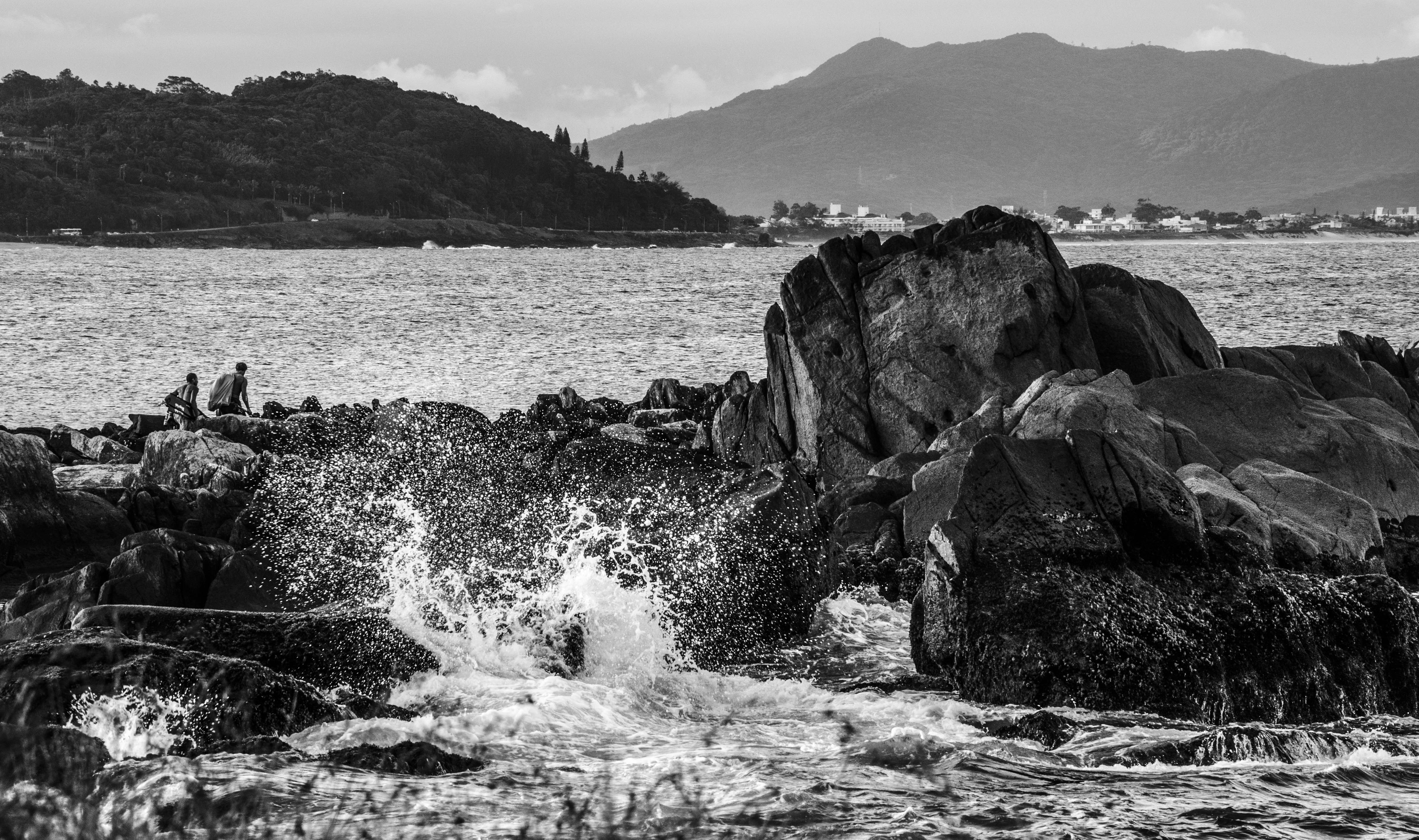 Free Unsplash photo from Camila Boff