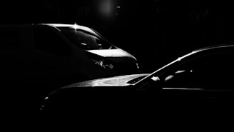 Artwork showing a dynamic interplay of light and shadow on a race car form.