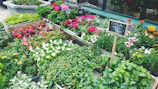 A warm and inviting flower board displayed outdoors with a backdrop of lush greenery.