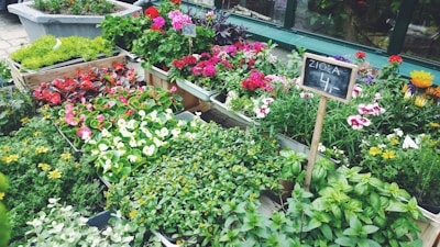 A vibrant nursery display with colorful plants, trees, and bags of soil and mulch ready for sale.