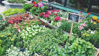A beautifully arranged display of decorative planters with vibrant plants.