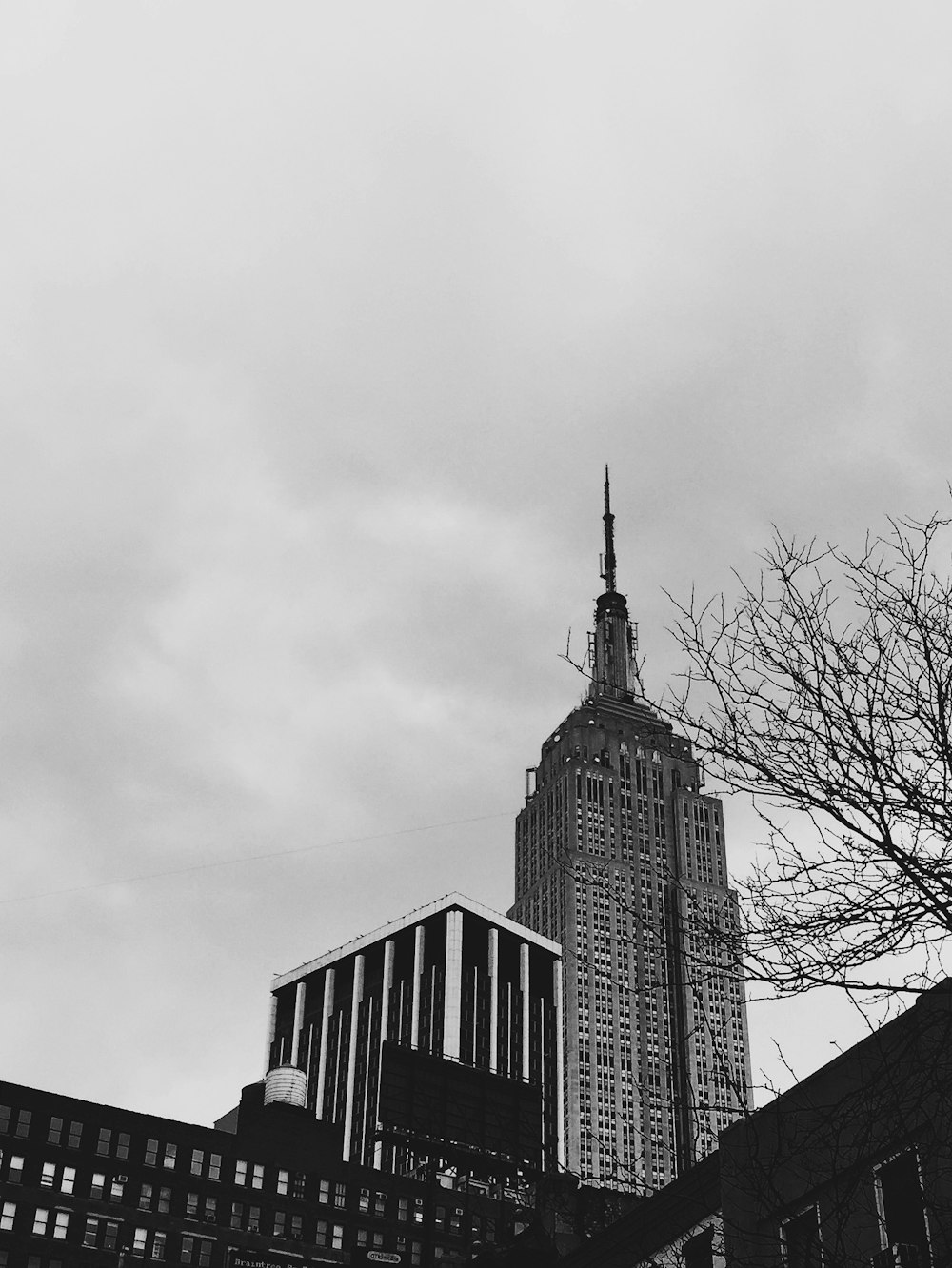 Foto en escala de grises de un edificio de gran altura