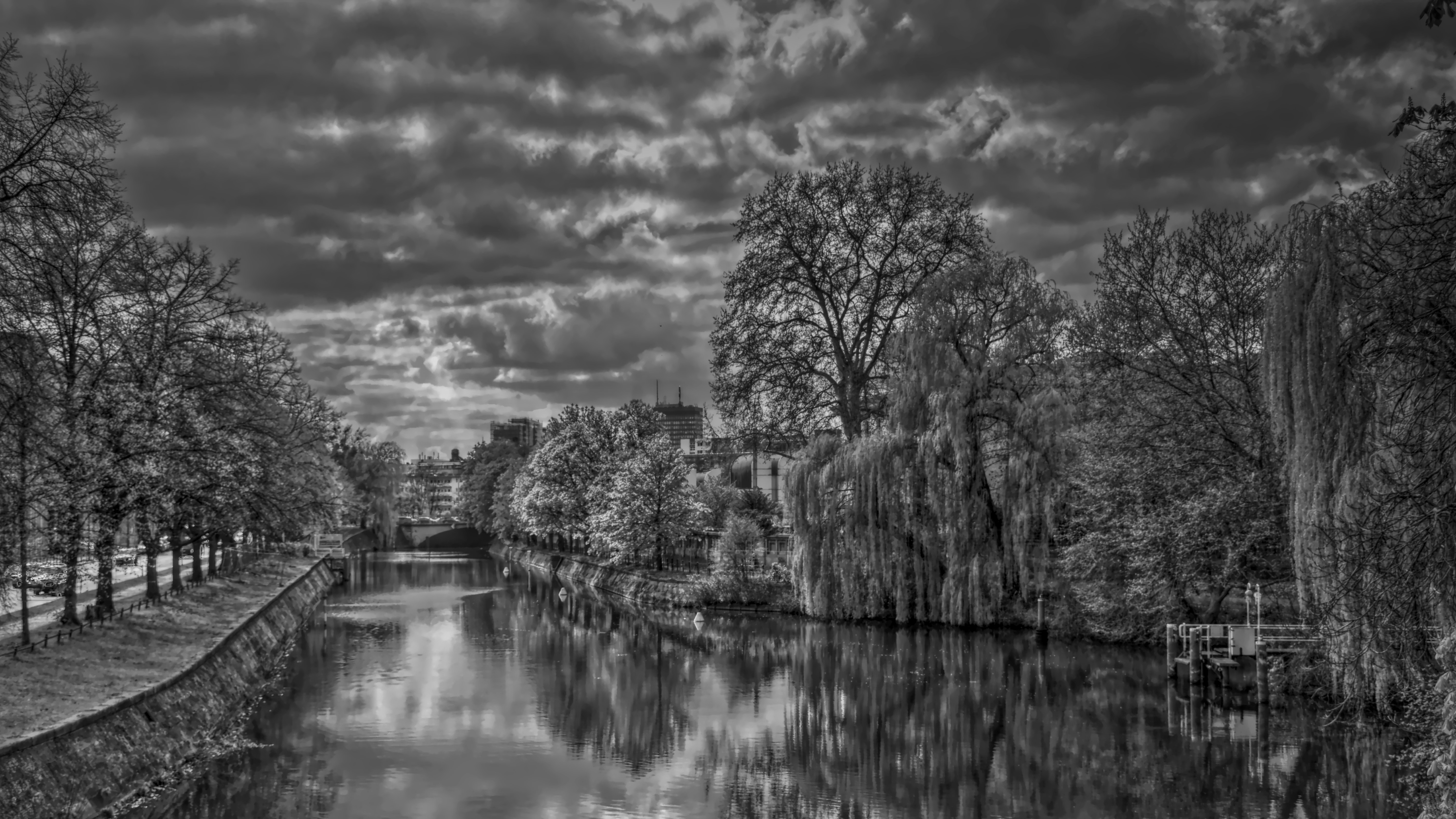 Free Unsplash photo from Peter Y. Chuang