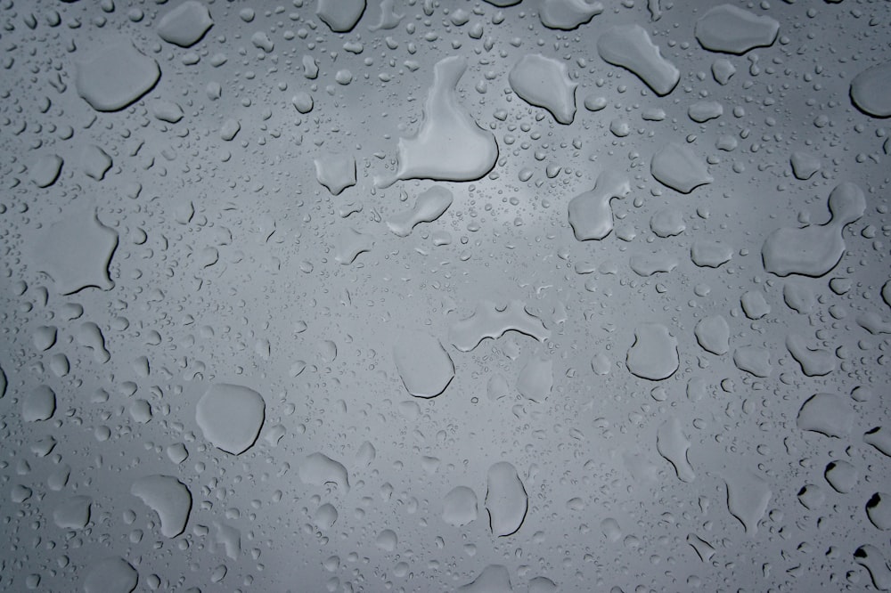 A wet gray surface.