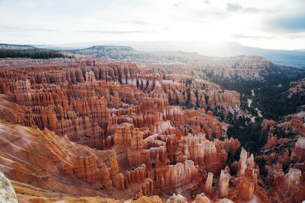 aerial photo of brown canyon