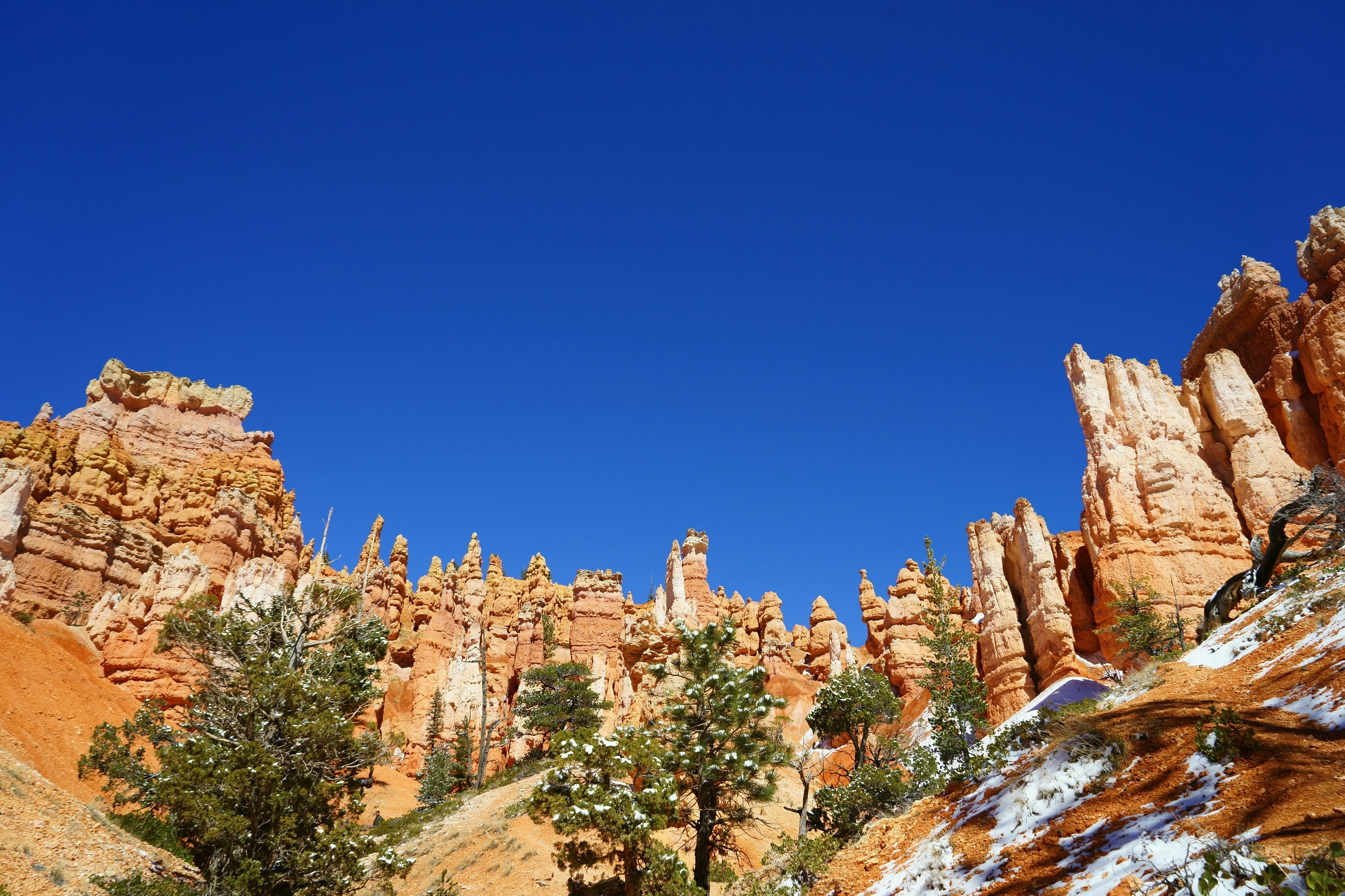 Free Unsplash photo from Andy Wang