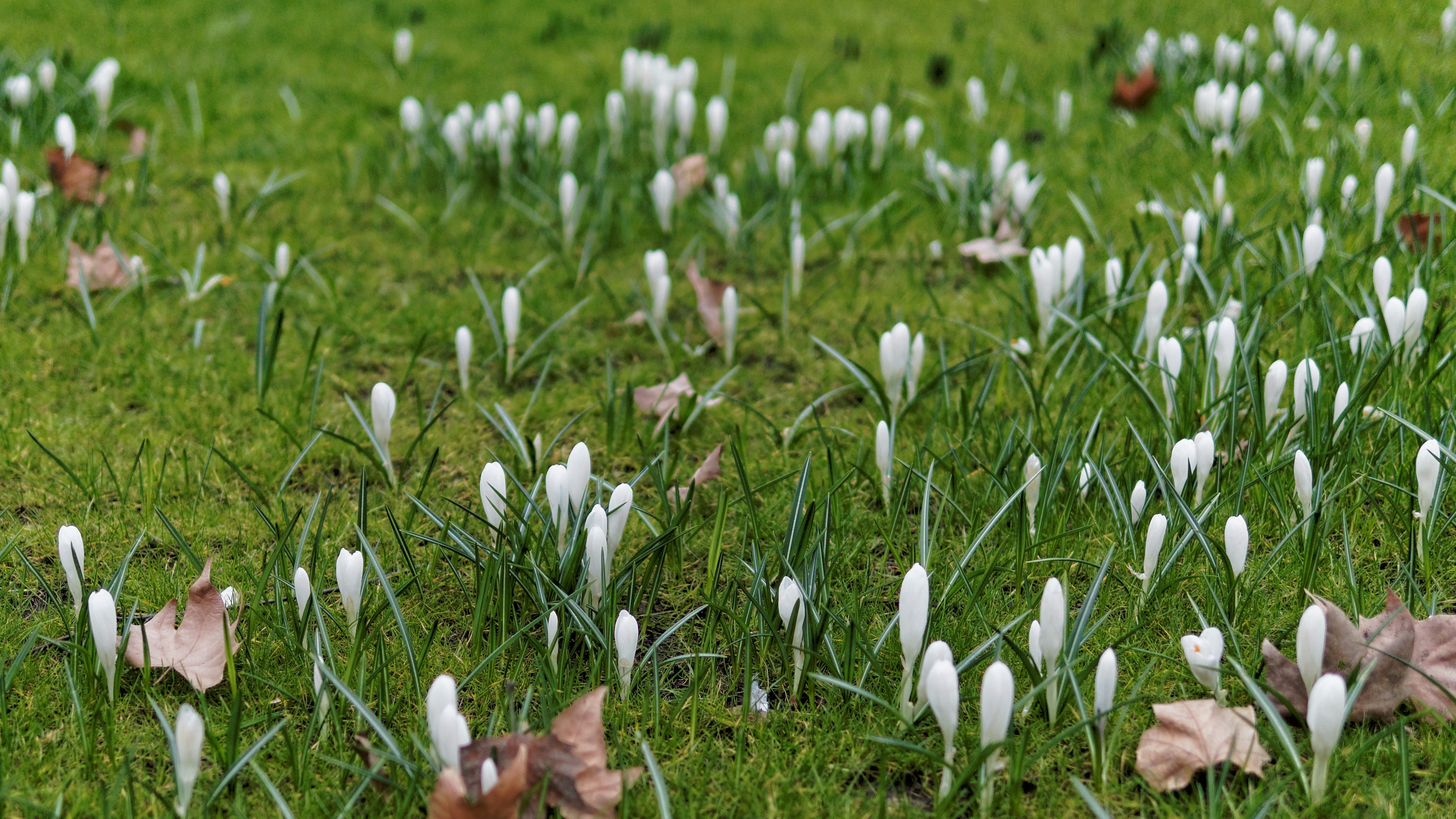 Free Unsplash photo from Alexey Tikhonov