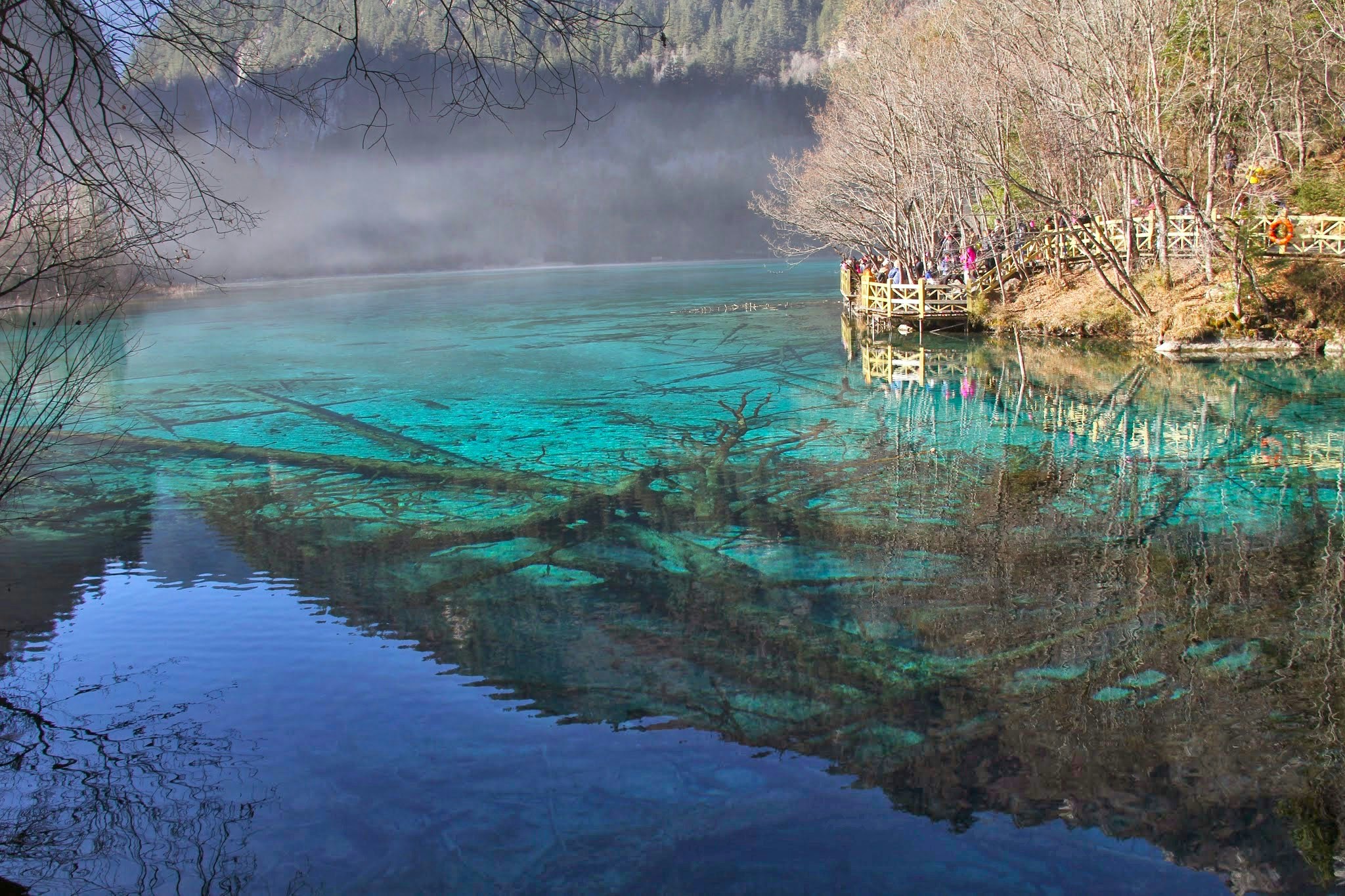 Free Unsplash photo from | Jamie |