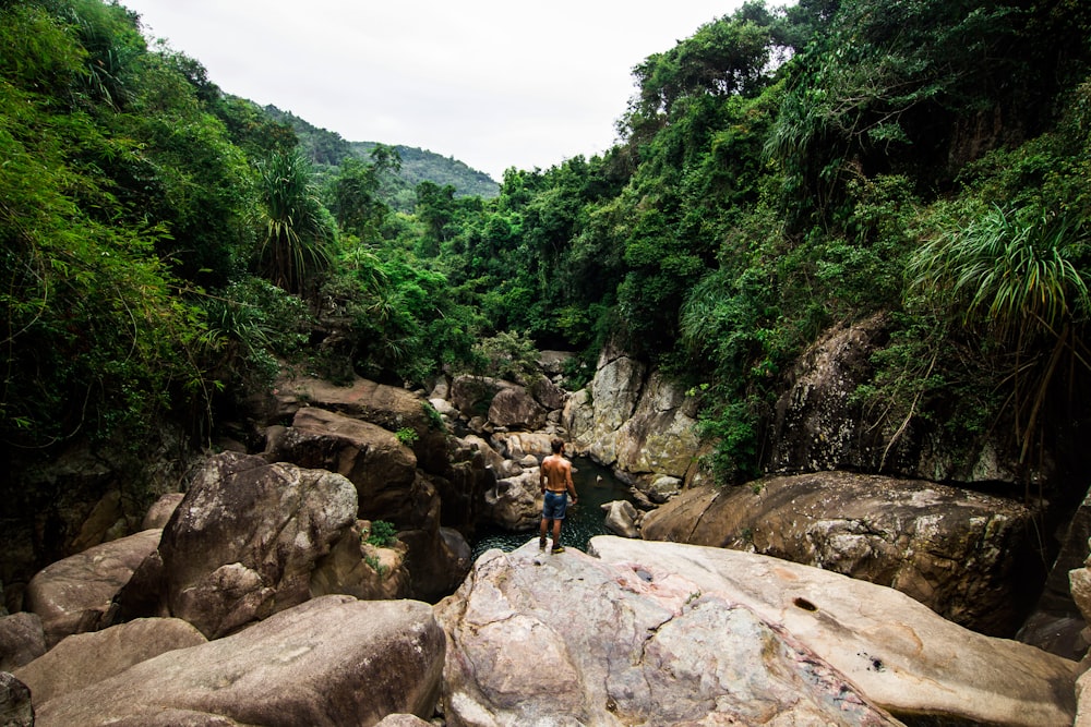 person standing on rock facing forest