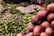 A vibrant display of various fresh vegetables and fruits, including green limes, lemongrass, cucumbers, bitter gourds, onions, and red shallots. The produce is arranged in woven baskets, creating a colorful and abundant market scene.