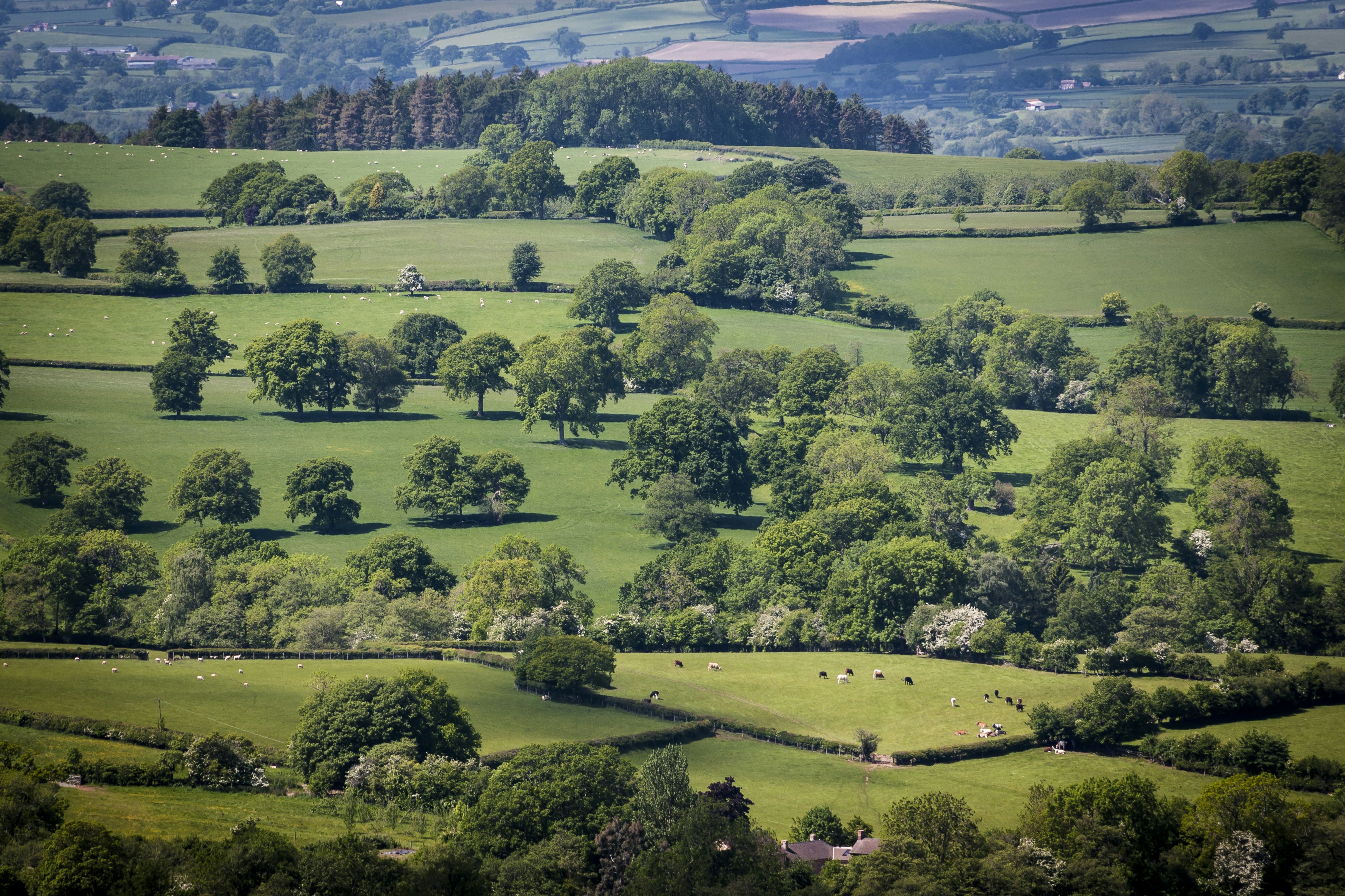 Free Unsplash photo from Craig Cooper