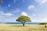 green leaf tree on shore