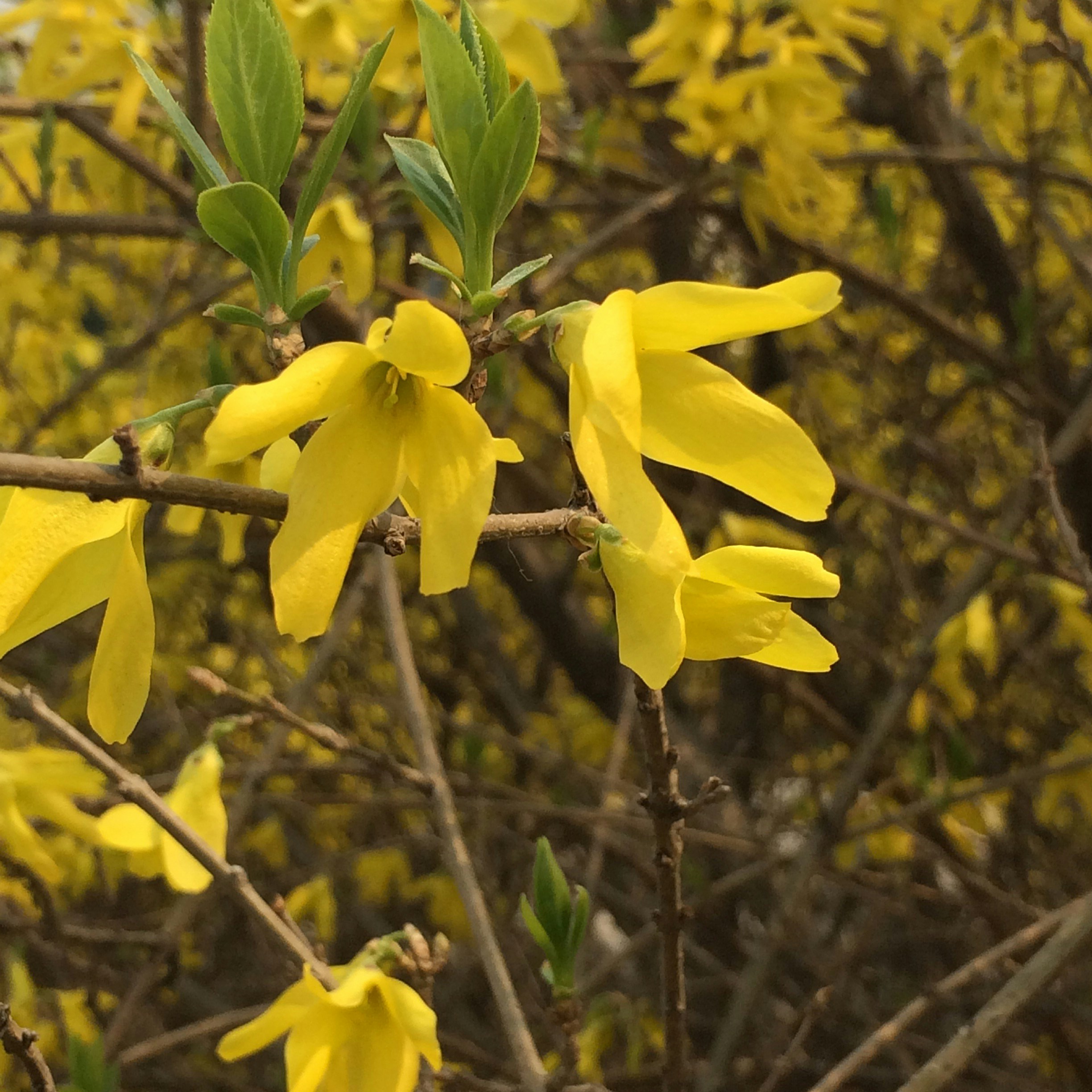 Free Unsplash photo from Dale miller