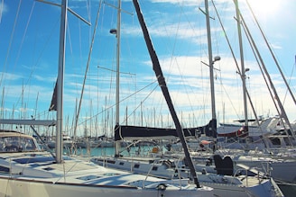 Sailboats lined neatly in the St. Andrews Marina, their sails furled against a bright blue sky.