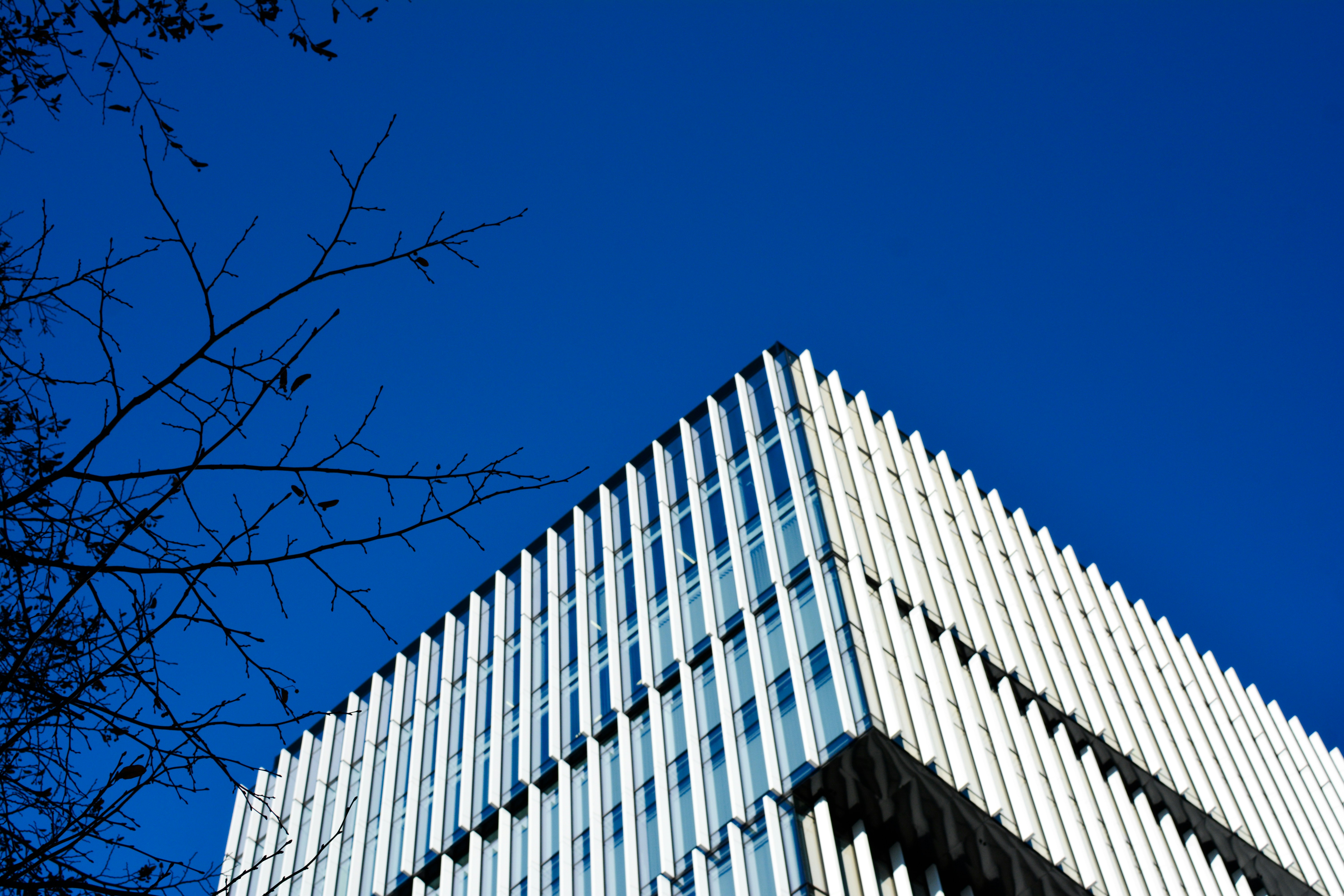 Free Unsplash photo from Serhii Pererva