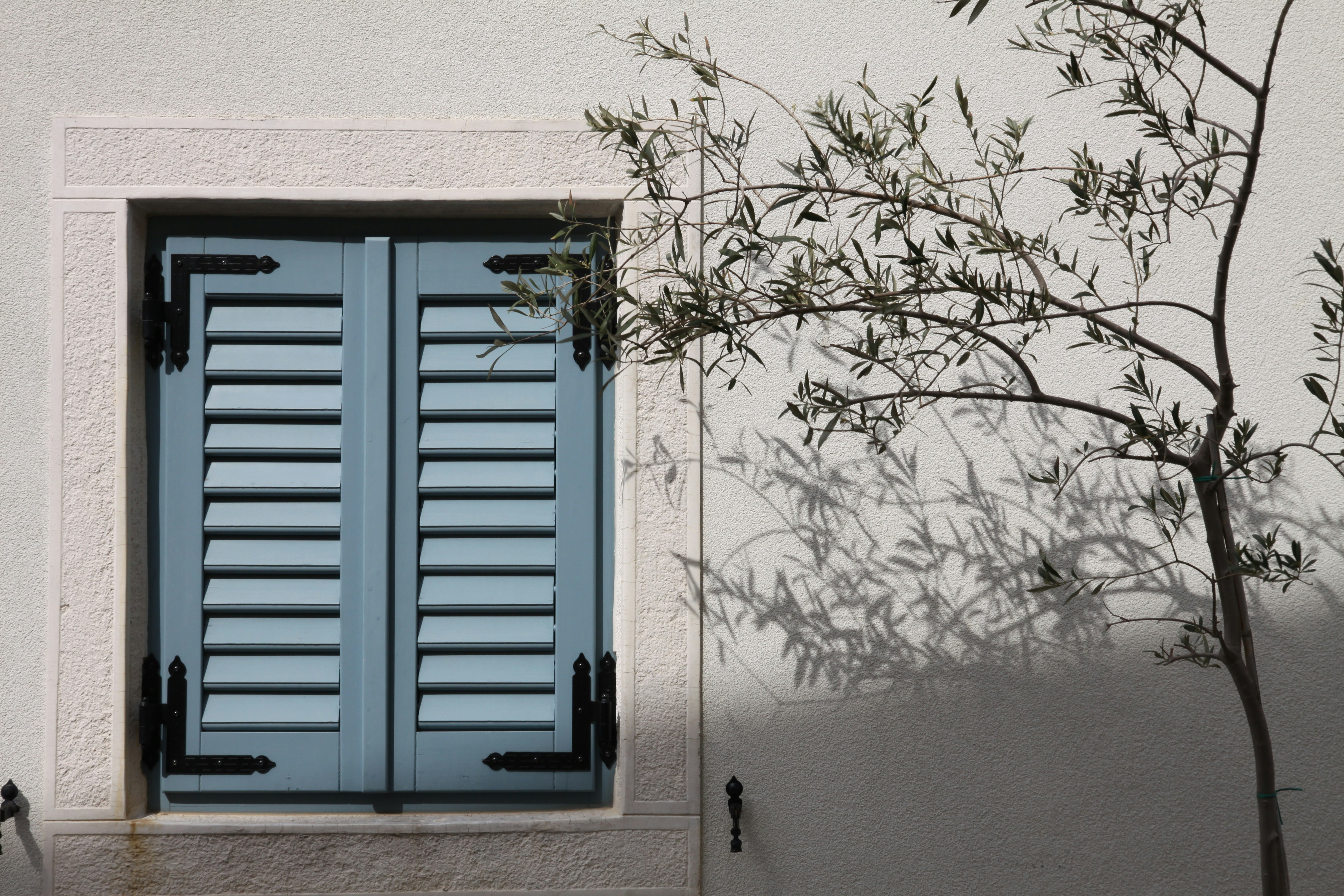 Free Unsplash photo from Roger Pearce