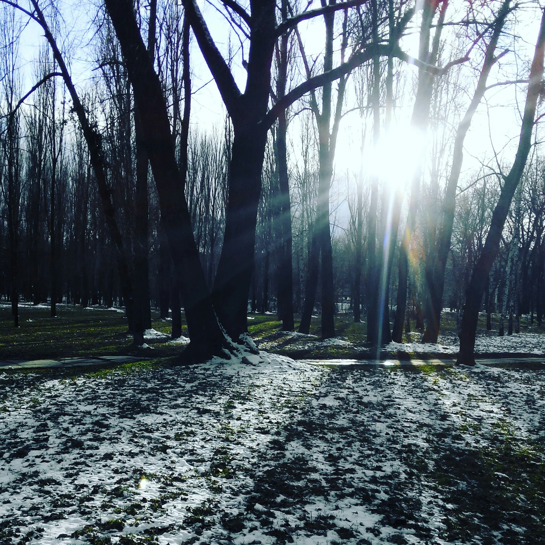 Free Unsplash photo from Marianne Bordiuk