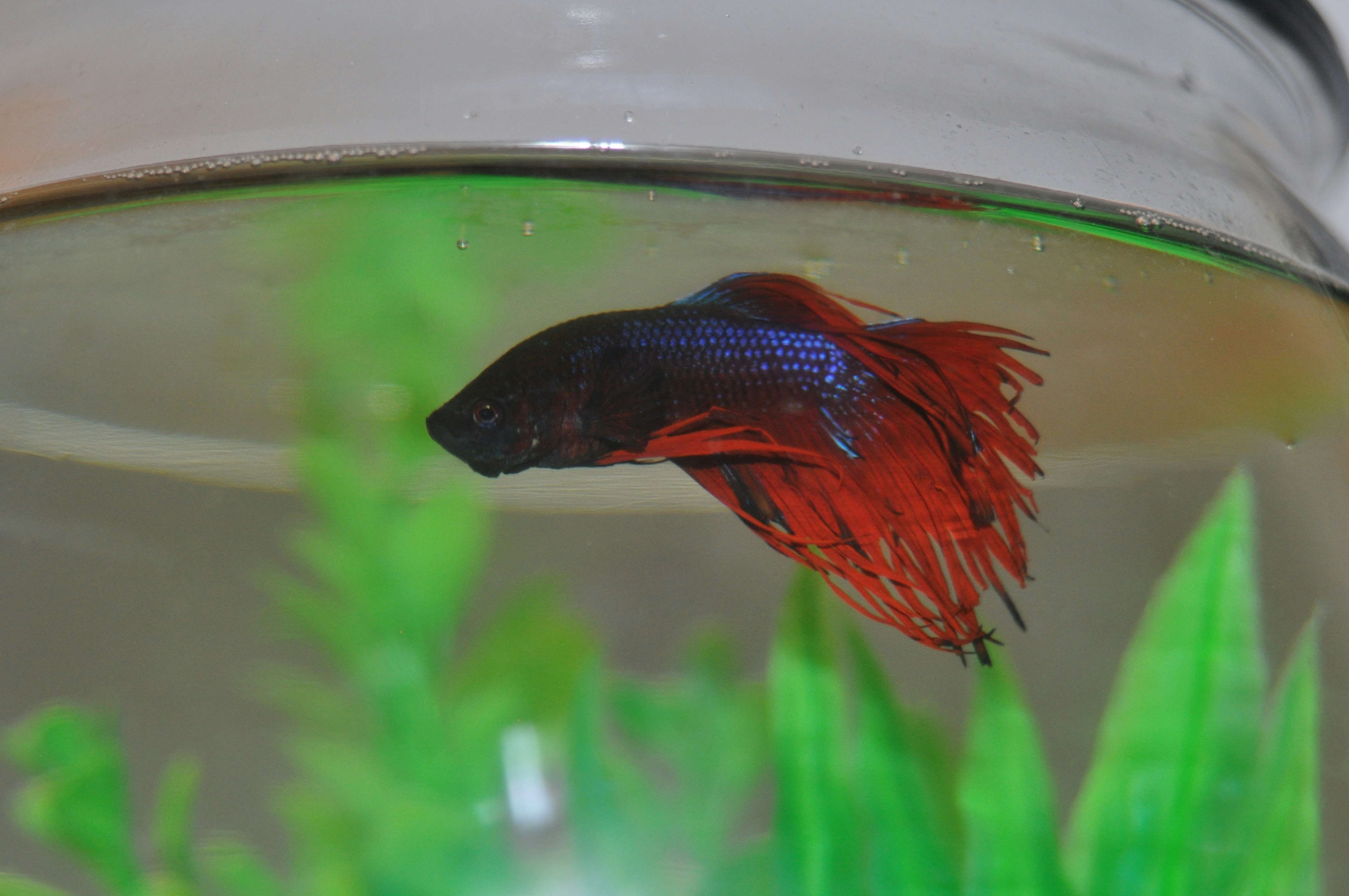 Free Unsplash photo from Val Treanor