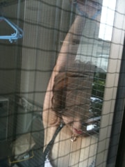 A person is raising their arm behind a window screen, with a wire mesh creating a grid pattern in front of them. A blue clothes hanger and some bags can be seen in the background.