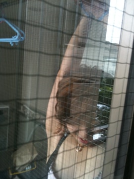 A person is raising their arm behind a window screen, with a wire mesh creating a grid pattern in front of them. A blue clothes hanger and some bags can be seen in the background.