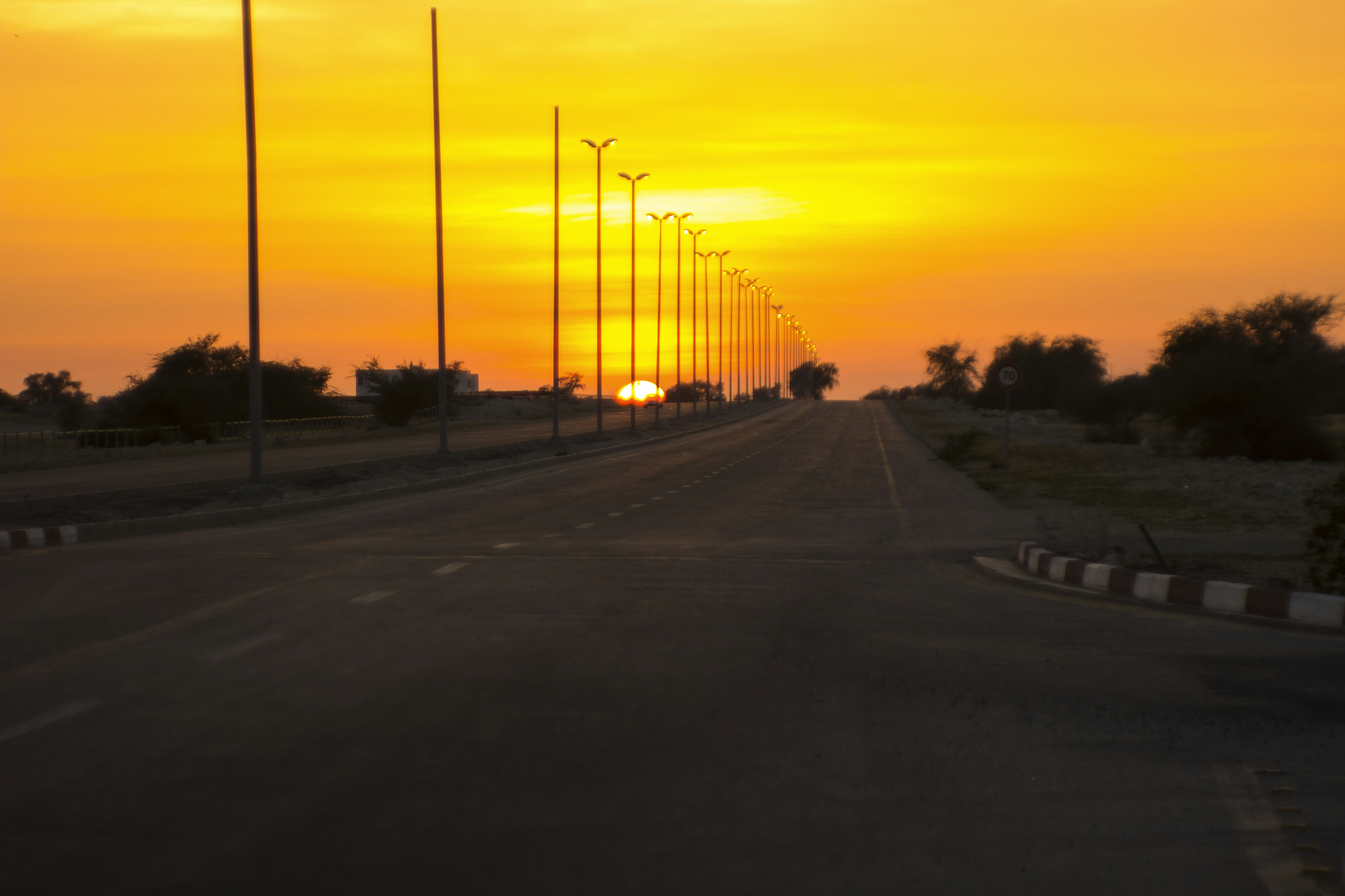 Free Unsplash photo from Ali Zolghadr