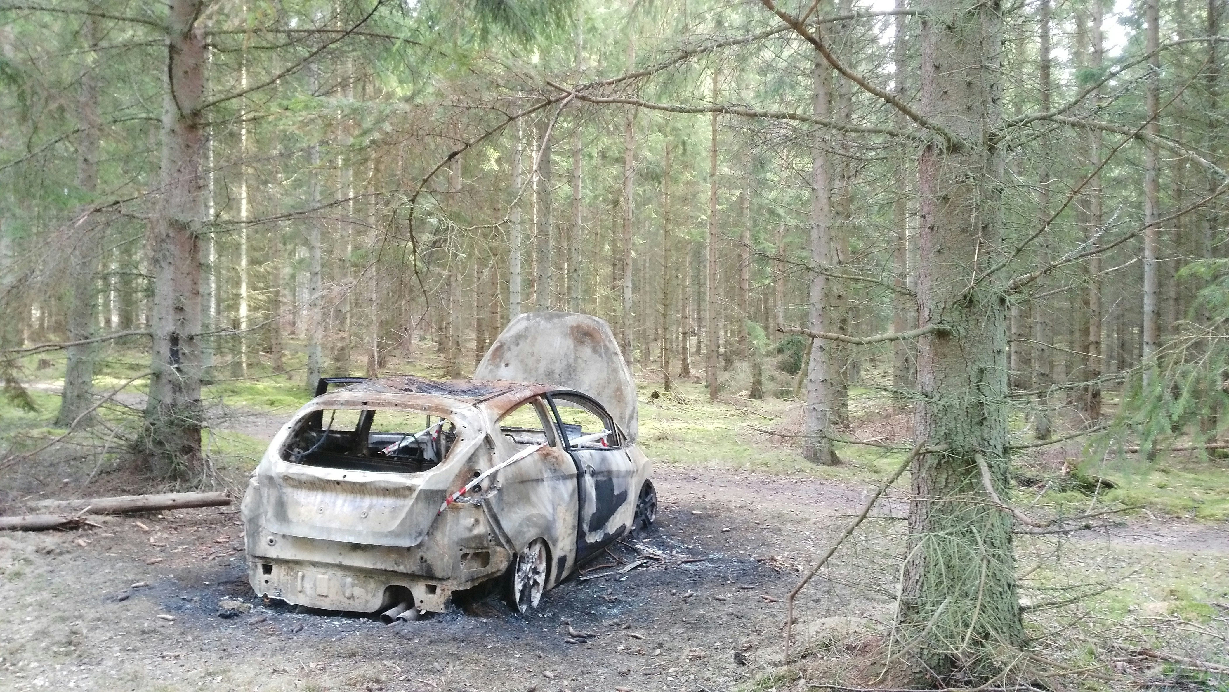 Free Unsplash photo from Pernille Tranberg