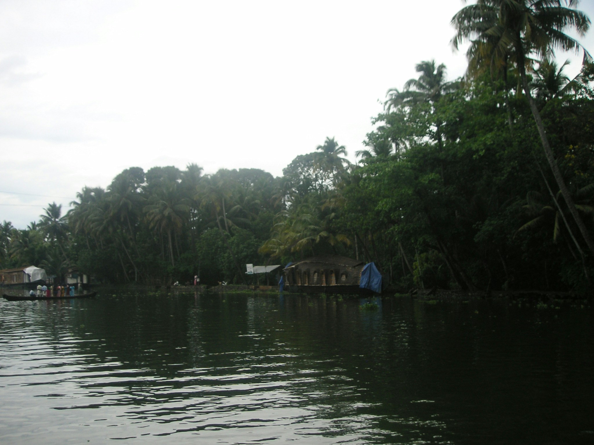 Free Unsplash photo from James George