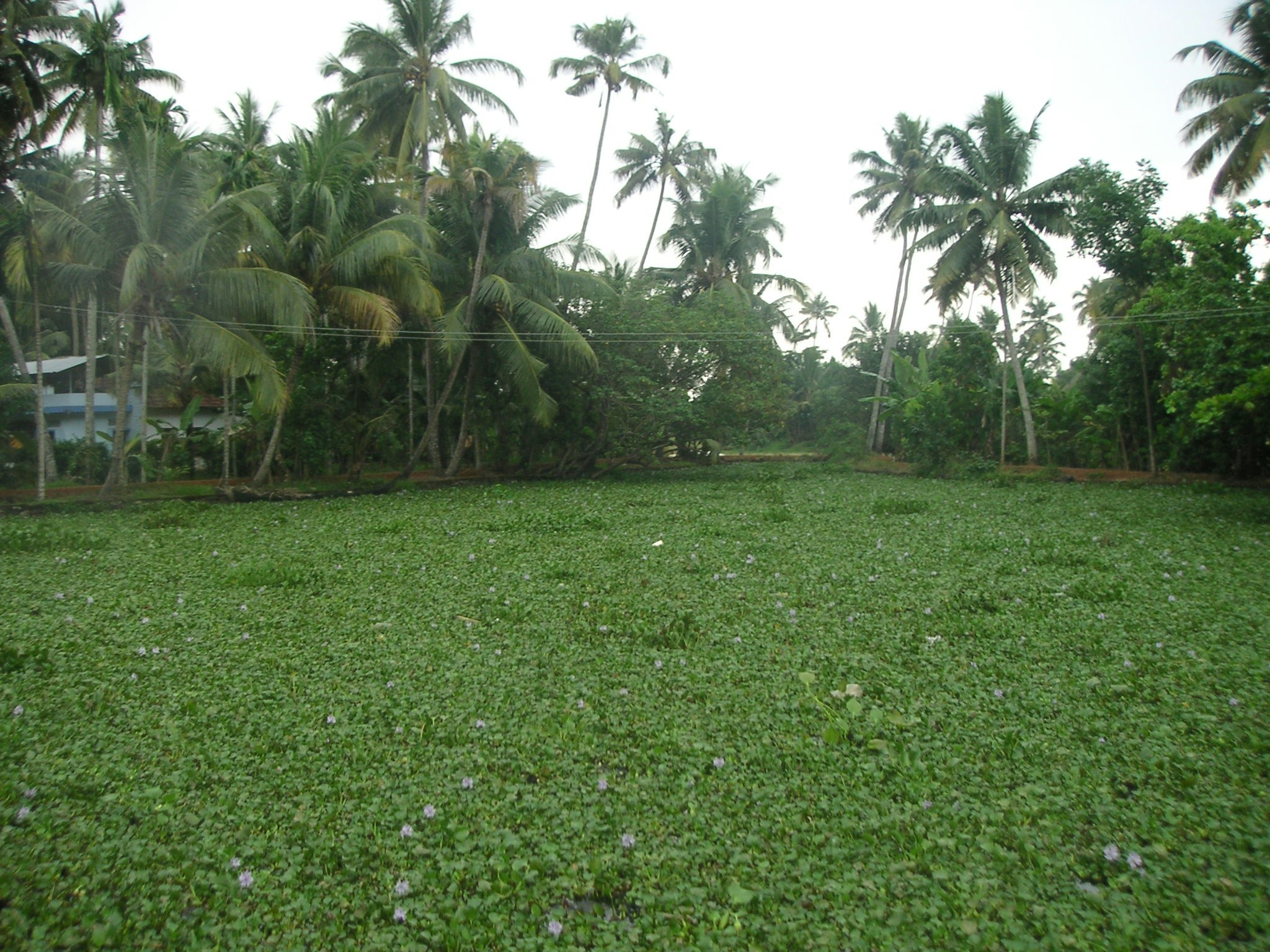 Free Unsplash photo from James George