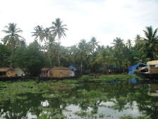 Traditional Kerala shikkara boat gliding through calm backwaters at dawn.