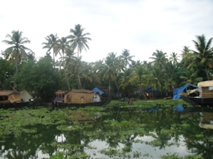 Tranquil backwaters with houseboats floating among lush green palm trees. The calm water reflects the surrounding foliage and boats, creating a serene and picturesque scene. The sky is overcast, adding a soothing ambiance to the natural setting.
