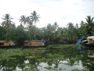 Tranquil backwaters with houseboats floating among lush green palm trees. The calm water reflects the surrounding foliage and boats, creating a serene and picturesque scene. The sky is overcast, adding a soothing ambiance to the natural setting.