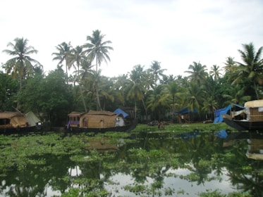 Tranquil backwaters with houseboats floating among lush green palm trees. The calm water reflects the surrounding foliage and boats, creating a serene and picturesque scene. The sky is overcast, adding a soothing ambiance to the natural setting.