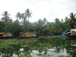Tranquil backwaters with houseboats floating among lush green palm trees. The calm water reflects the surrounding foliage and boats, creating a serene and picturesque scene. The sky is overcast, adding a soothing ambiance to the natural setting.