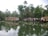 Several traditional houseboats are docked on a calm body of water surrounded by lush green trees and vegetation. The reflection of the boats and trees is visible on the water's surface.