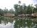 Several traditional houseboats are docked on a calm body of water surrounded by lush green trees and vegetation. The reflection of the boats and trees is visible on the water's surface.