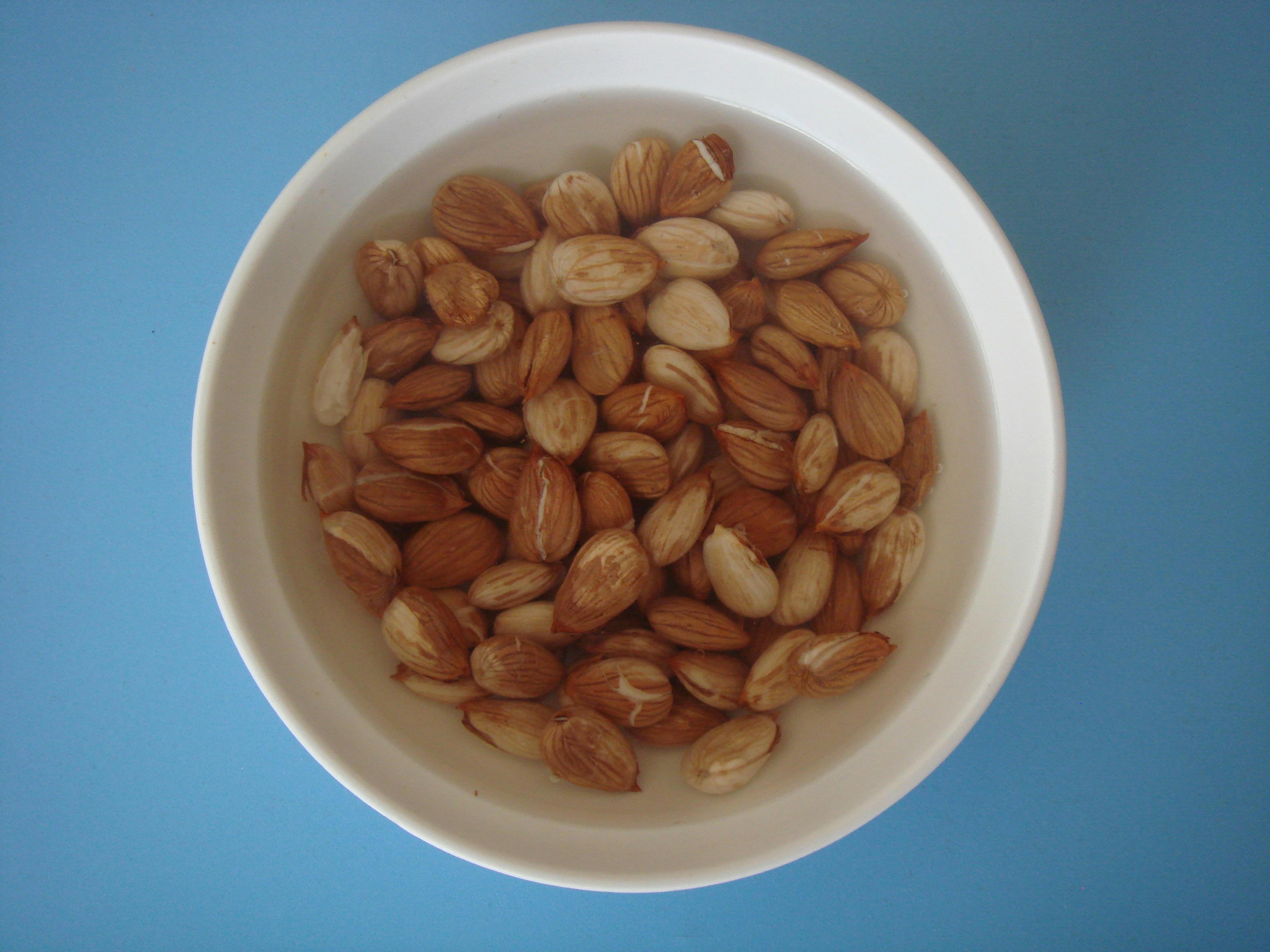 Free Unsplash photo from Mohammad Hossein Mojtahedi