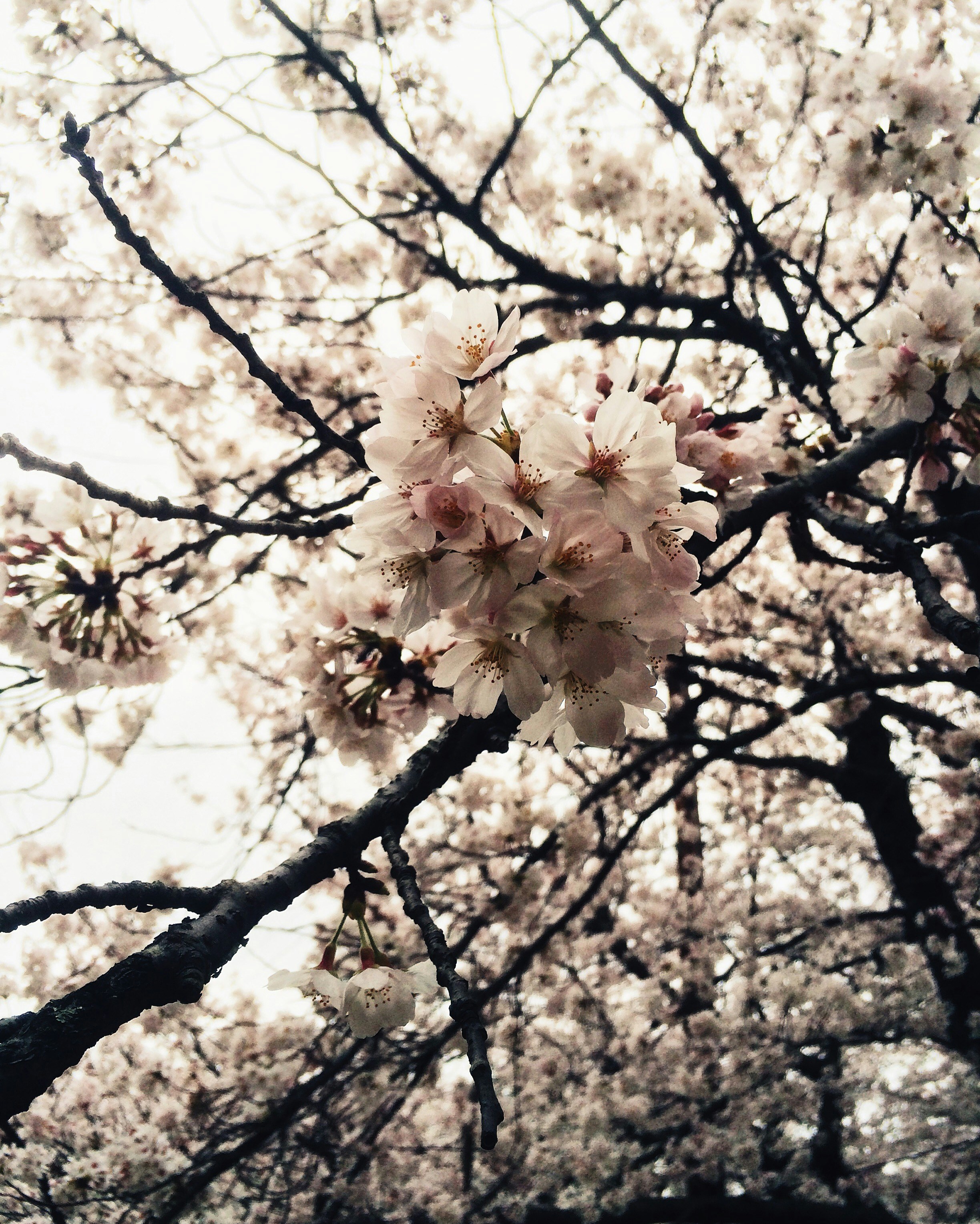 Free Unsplash photo from Andrew Volkov