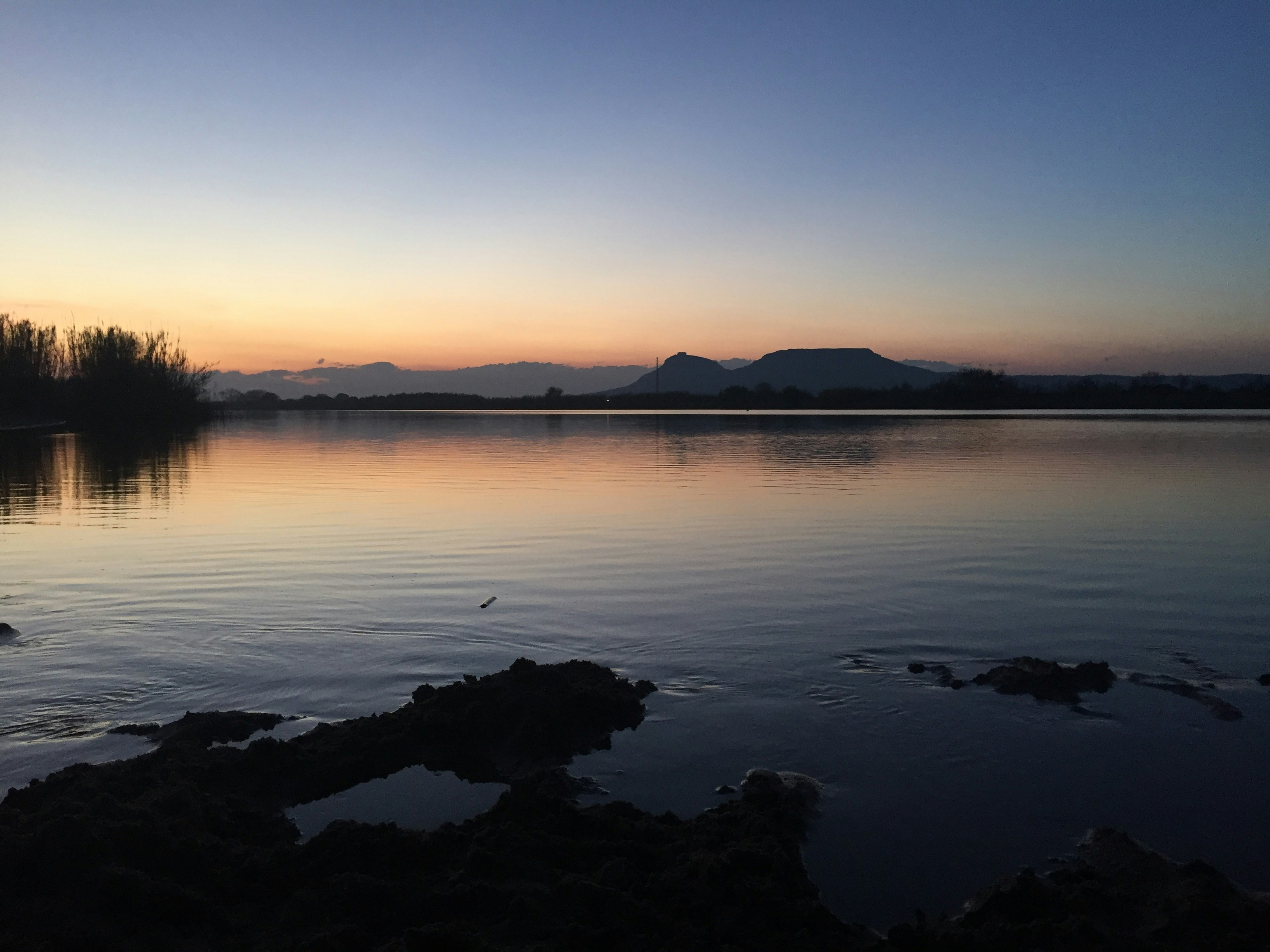 Free Unsplash photo from Dani Hellin