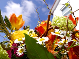 A colorful bouquet of fresh flowers set against a sunny Sharm El Sheikh hotel balcony.