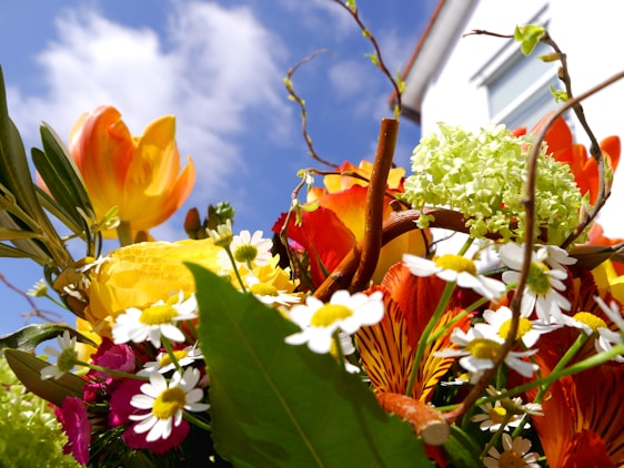 A colorful bouquet of fresh flowers set against a sunny Sharm El Sheikh hotel balcony.