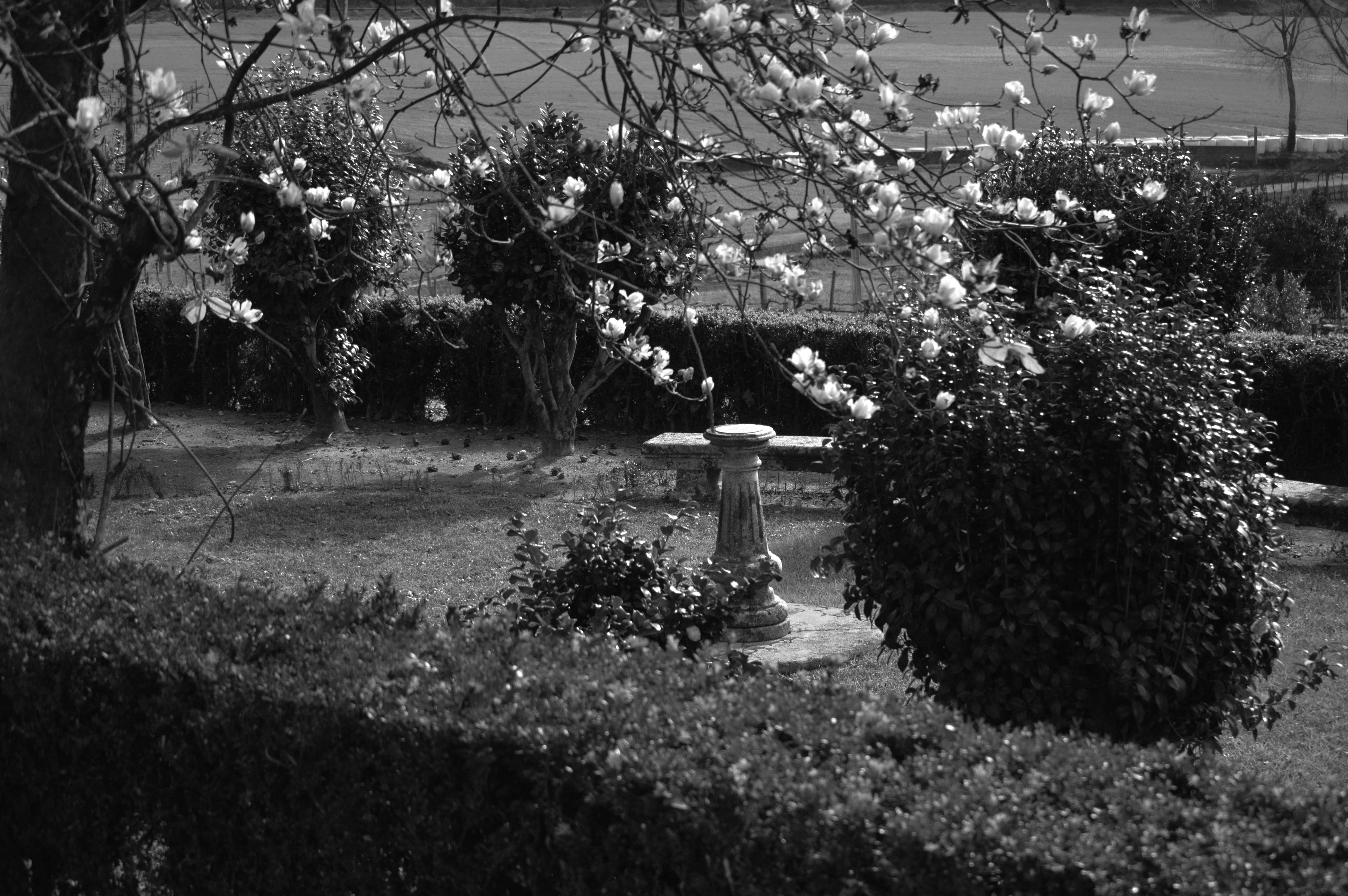 Free Unsplash photo from Luis Filipe Castro